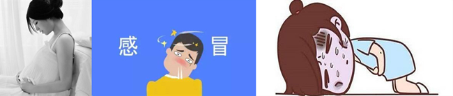 三七粉的禁忌图片